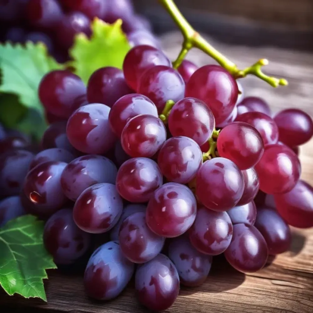 Vinič Kráľovský rubín – bezsemenná odroda hrozna, neskorá
